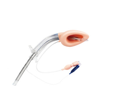 Laryngeal Mask Airway